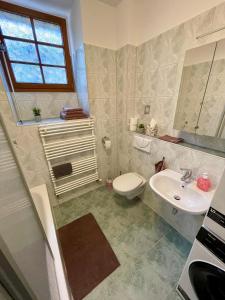 uma casa de banho com um WC branco e um lavatório. em Ferienwohnung Teichidyll Altenburg em Altemburgo