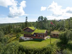 a house with a grass roof with a kite in the air at Stor og flott hytte med fantastisk utsikt in Geilo