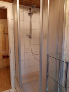 a shower with a glass door in a bathroom at Ferienwohnung Breuer 