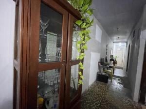 a door in a hallway with a plant on it at Casa Saúde in Salvador