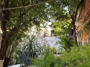 a garden with plants and trees and a building at Casa Saúde in Salvador
