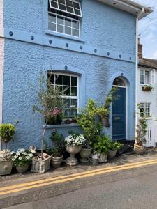 a blue house with potted plants in front of it at Foxglove Fourteen in Saint Leonards