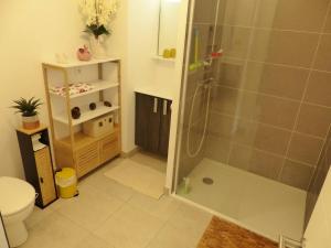 uma casa de banho com um chuveiro e um WC. em Residence Coeur boise appartement avec terrasse et wifi Espace vert em Capbreton