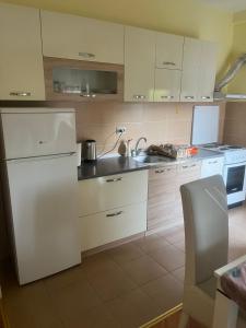 La cuisine est équipée d'un réfrigérateur blanc et d'un évier. dans l'établissement Ena Apartment, à Vranje
