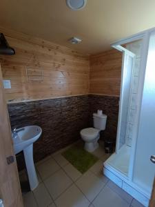 ein Bad mit einem WC und einem Waschbecken in der Unterkunft Cabañas Hornopirén in Hornopiren