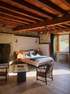 een grote slaapkamer met een bed en een open haard bij Le petit château du Villard 
