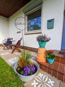 a porch with two potted plants and flowers at Haus Willi von Tinyhaus Steinhude in Steinhude