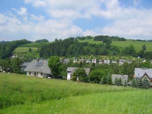a group of houses on a hill with a green field at Ferienhaus mit Kamin , Terrasse und Aussensauna in Pöhla