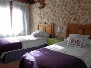 1 Schlafzimmer mit 2 Betten und einem Fenster in der Unterkunft Casa El Barriejo en Campo de San Pedro 8 pax 