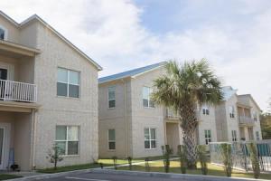 an apartment building with a palm tree in front of it at Fins Up in Long Beach