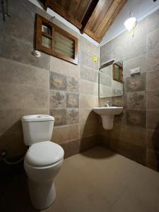 曼南塔法迪的住宿－Royal Wooden villa，一间带卫生间和水槽的浴室