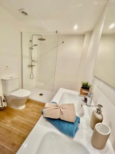 坎布里爾斯的住宿－Femina Blue，浴室配有白色水槽和卫生间。