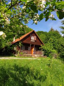 a house in the middle of a grassy field at Casa Lacramioara in Sîmbăta de Sus