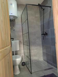 uma casa de banho com uma cabina de duche em vidro e um WC. em Vikendica Nina 2 em Zlatibor
