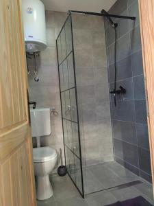 a bathroom with a glass shower with a toilet at Vikendica Nina 2 in Zlatibor