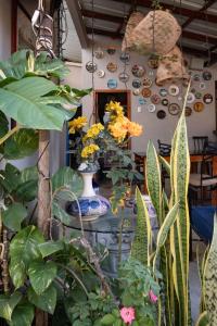 una habitación con una mesa con jarrones y plantas en Hostel Casa Betancourt en Salinas