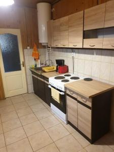 a kitchen with a stove and a counter top at Casa Lacramioara in Sîmbăta de Sus
