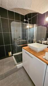 een badkamer met een wastafel en een douche bij La Petit Ourse - Wifi - Terrasse - Vulcania in Saint-Ours