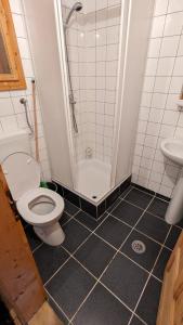 a bathroom with a toilet and a shower and a sink at Villa ALVIK in Geoagiu Băi