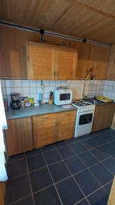 a kitchen with a stove and a microwave at Villa ALVIK in Geoagiu Băi