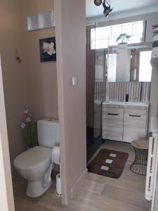 a bathroom with a toilet and a sink at Hôtel les Deux Cols in Sainte-Marie-de-Campan