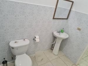 a bathroom with a toilet and a sink at La Rose Apartment in Montego Bay