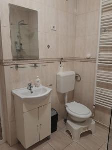 a bathroom with a toilet and a sink and a mirror at Apartament Andreas in Arad