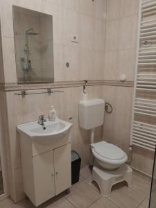アラドにあるApartament Andreas - centru, confort si relaxareのトイレ、洗面台、鏡を備えたバスルーム +27枚の写真