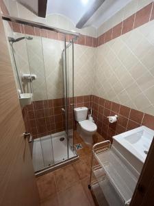 a bathroom with a shower and a toilet and a sink at Apartamento Rural Piedra in Jérica