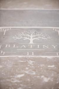 Fotografie z fotogalerie ubytování Blatiny 11 - venkovský dům v destinaci Blatiny + 43 fotografií