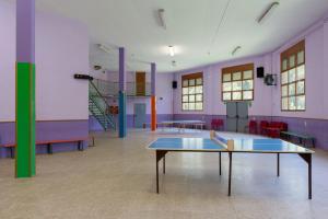 Stolní tenis v ubytování Planoles Xanascat nebo okolí