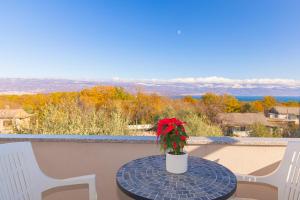 a table with a plant on top of a balcony at Apartman Silvana in Risika