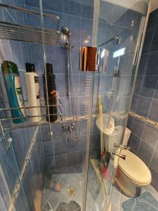 a bathroom with a shower with a toilet and a sink at One Bedroom Apartment Pirin Lodge in Bansko