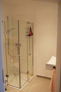 a shower with a glass door in a bathroom at Gäste-Zimmer am Elberadweg in Damnatz