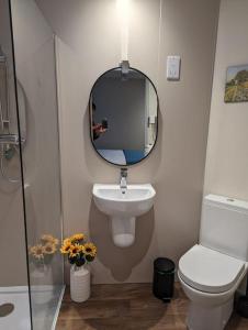 een badkamer met een wastafel, een spiegel en een toilet bij The Coo Shed in Inverness