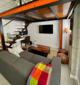 una sala de estar con un sofá gris con una manta colorida en Estudio céntrico junto Wanda, Ifema y aeropuerto, en Madrid 33 fotos más