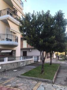 a tree in a courtyard next to a building at Apartment ARION 3 in Larisa