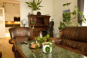 a living room with leather furniture and a table with plants at Villa Haag in Haag