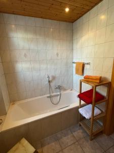 y baño con bañera y ducha. en Ferienwohnung Schneider, en Ottendorf-Okrilla