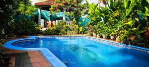 una piscina en un jardín con árboles y plantas en Villa Mia, en Abiyán