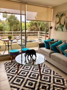 a dog standing on a glass table in a living room at Bello departamento Algarrobo in Algarrobo