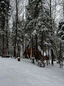 un bosque cubierto de nieve con un árbol y una casa en Oryavchik Country House, en Oryavchyk
