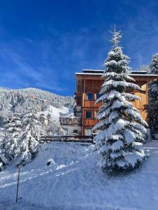 un arbre de Noël recouvert de neige devant un bâtiment dans l'établissement Luxury Chalet Liosa - Ski in Ski out - Amazing view, à Corvara in Badia