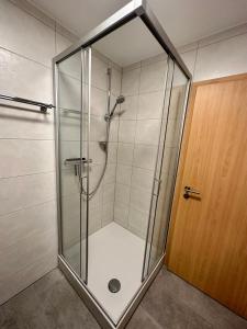 y baño con ducha y puerta de cristal. en Gäste-Appartement-Kirsammer, en Eningen unter Achalm
