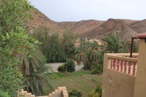 a view of a garden with palm trees and mountains at Gite TALBOURINE in Taroudant