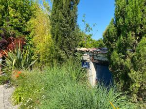 einen Garten mit einem Gebäude mit Bäumen und Pflanzen in der Unterkunft calme et repos garantis au cœur des vignes Charentaises in Échallat