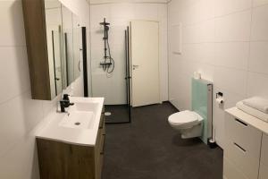 een badkamer met een toilet, een wastafel en een douche bij All new, fully equipped apartment at the gate of Senja 