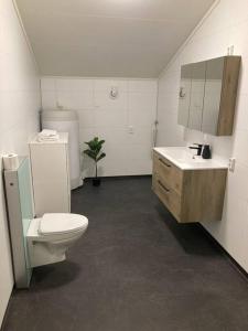 a bathroom with a toilet and a sink at All new, fully equipped apartment at the gate of Senja 