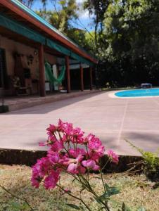różowe kwiaty przed basenem w obiekcie Casa completa em meio à natureza w mieście Passa Quatro