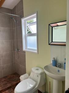 Ένα μπάνιο στο Cabañas Vista Volcanes II +8 φωτογραφίες